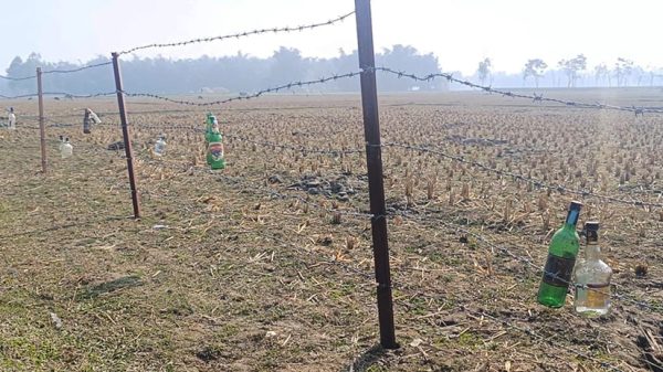 লালমনিরহাট সীমান্তে কাঁটাতারে ঝুলানো কাচেঁর বোতল, আতঙ্কে এলাকাবাসী 