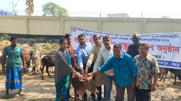 শেরপুরে ৫০টি ষাঁড় বাছুর বিতরণে অসন্তুষ্টি
