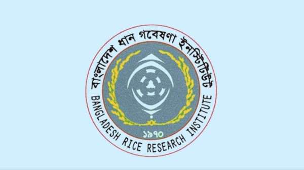 ধানকে তাপপ্রবাহ থেকে বাঁচাতে সতর্কতা, তাপমাত্রা হতে পারে ৪০ ডিগ্রি