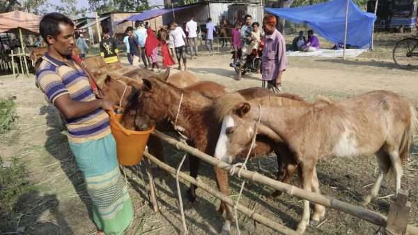 ফুলবাড়ীতে ২০১ বছরের পুরোনো ঐতিহ্যবাহী বুড়া চিন্তামন ঘোড়ার মেলা