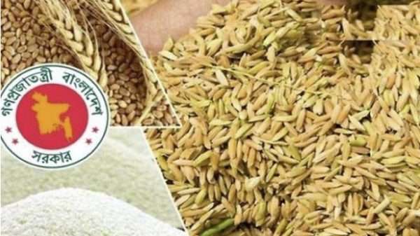 বগুড়ার শেরপুরে ধান ৩৬ ও চাল ৪৯ টাকা, সংগ্রহের প্রস্তুতি সম্পূর্ণ