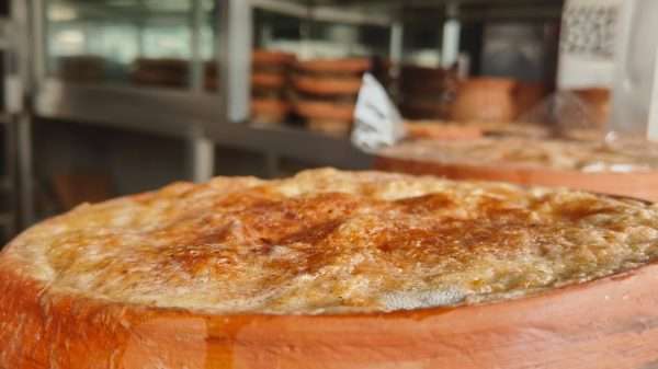 বগুড়ায় ঈদের আগে দুধের দাম বাড়ায় বাড়ছে দইয়ের দাম
