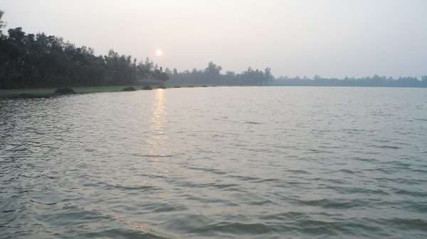 সাঁতার ভুলে মোটা হচ্ছে বগুড়ার শিশু ও কিশোররা