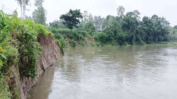 বাঙালি ও করতোয়া নদীর ভাঙনে শেরপুরে বিলীন হুমকিতে ফসলি জমি ও শিক্ষাপ্রতিষ্ঠান