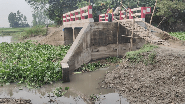 শেরপুরে ব্রিজ আছে, রাস্তা নেই— ভেঙে যাচ্ছে বিয়ের প্রস্তাব