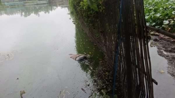 নিখোঁজের একদিন পর শেরপুরে কিশোরের লাশ উদ্ধার