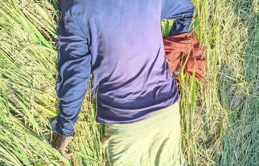 তিন দিনের নিখোঁজ, ধানক্ষেতে মিলল কৃষকের দেহ
